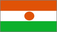 Nigerian Flag Cycling Jersey