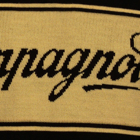 Campagnolo jersey (detail)