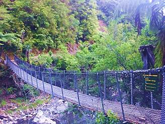 Pakihi Track