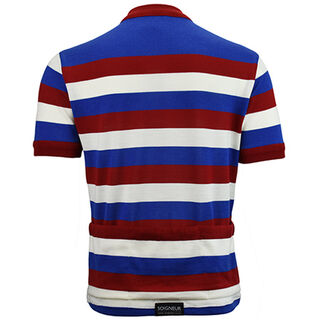 Cespuglio Merino Wool Cycling Jersey - back