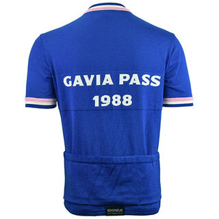 Andy Hampsten Merino Wool Cycling Jersey - back